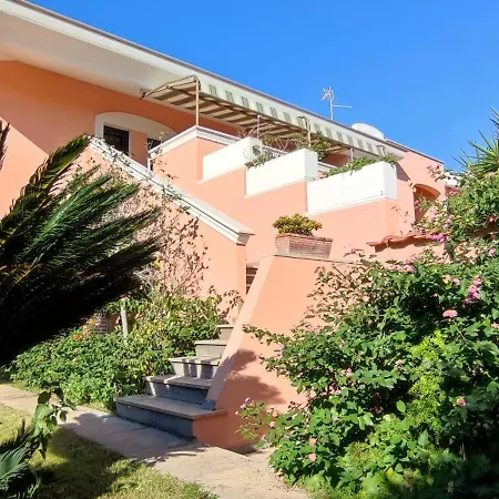 Katy's Garden Anzio