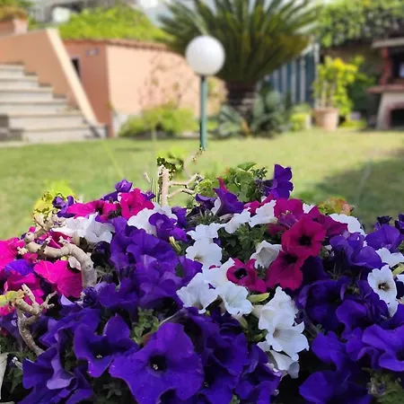 Katy's Garden Nyaraló