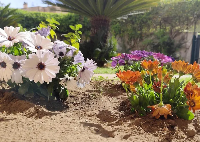 Katy's Garden Anzio
